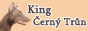 1.Dobermann King Cerny Trun